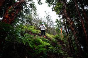 BIB: 
                            <button type="button" onclick="openModal(26204999)" class="btn btn-primary btn-sm float-right btn-popup" data-toggle="modal" data-target=".modal-high-quality">
                        <i class="fas fa-shopping-cart"></i> Add to Cart
                    </button>
                                            <button type="button" onclick="isThisMe(26204999, true)" class="btn btn-success btn-sm float-right btn-popup btn-isme hidden" data-toggle="tooltip" data-placement="bottom" title="นี่คือรูปของคุณใช่ไหม คลิกที่นี่เพื่อเอาเข้าอัลบั้ม">
                        <i class="fas fa-plus"></i> Add to album
                    </button>
                    <button type="button" onclick="isThisMe(26204999, false)" class="btn btn-warning btn-sm float-right btn-popup btn-isnotme hidden">
                        <i class="fas fa-ban"></i> Remove from album
                    </button>